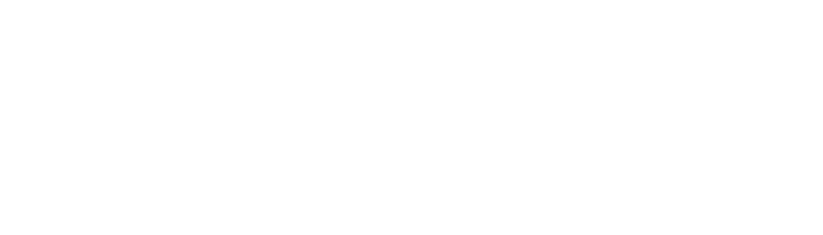Born Client Logo Chillys