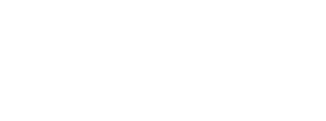 Born Client Logo Garnier