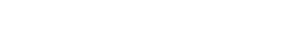Born Client Logo Nandos