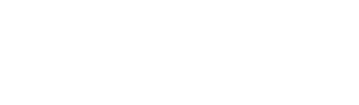 Born Client Logo Vax