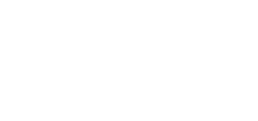 Born Client Logo Veet